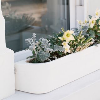 window fleur with winter white and plants