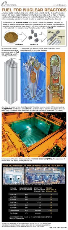 Fukushima fuel rod infographic