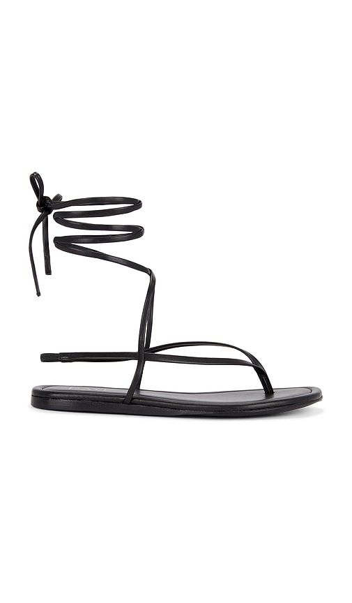 Aditi Sandal