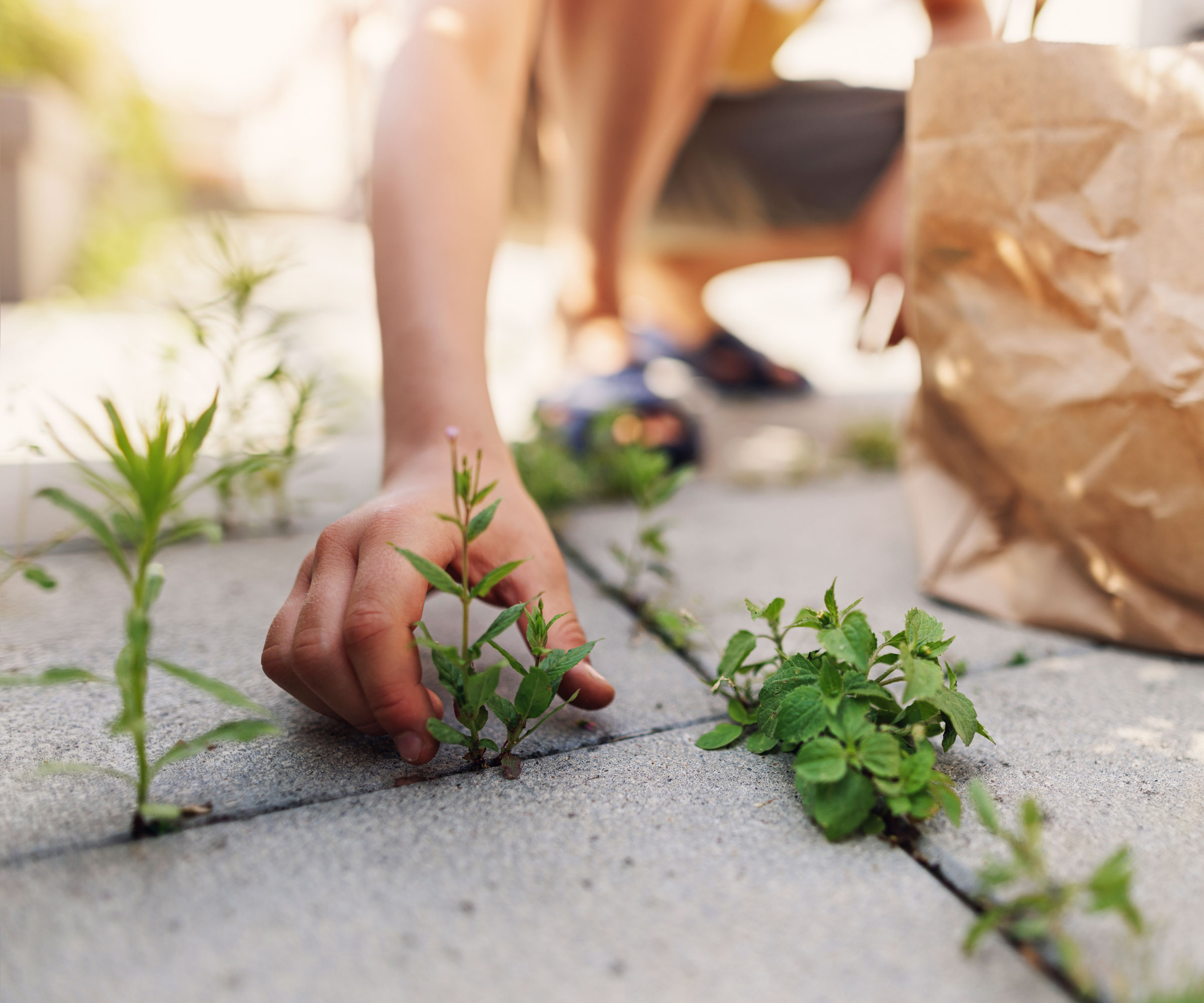 person removing weeds by hand from cracks in patio block paving