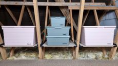 Pink and grey labelled storage boxes on ledges in loft