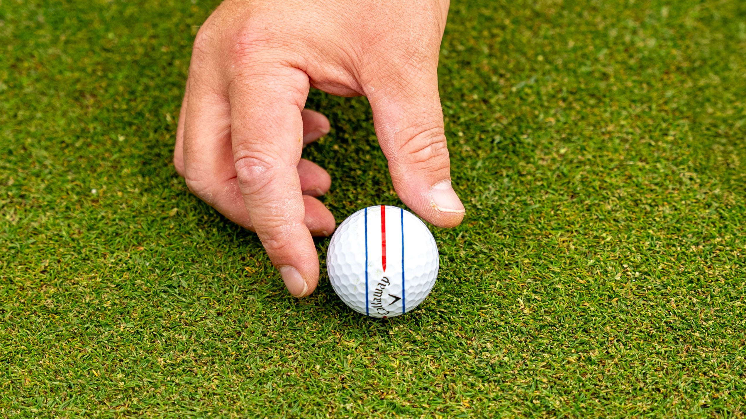 Should Alignment Aids On Golf Balls Be Banned? 