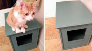 diy kitty litter box