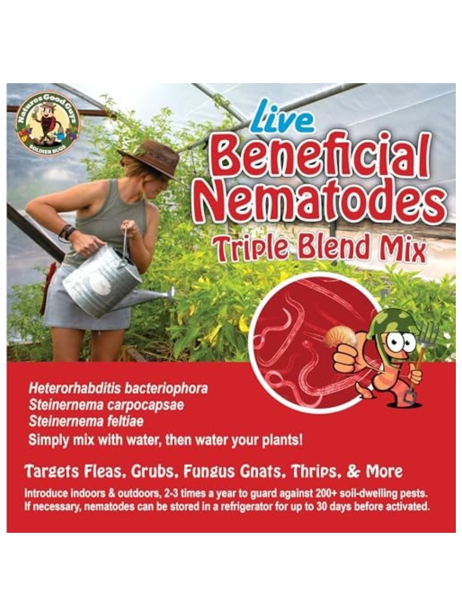 A woman watering a garden. an animated nematode is giving a thumbs up