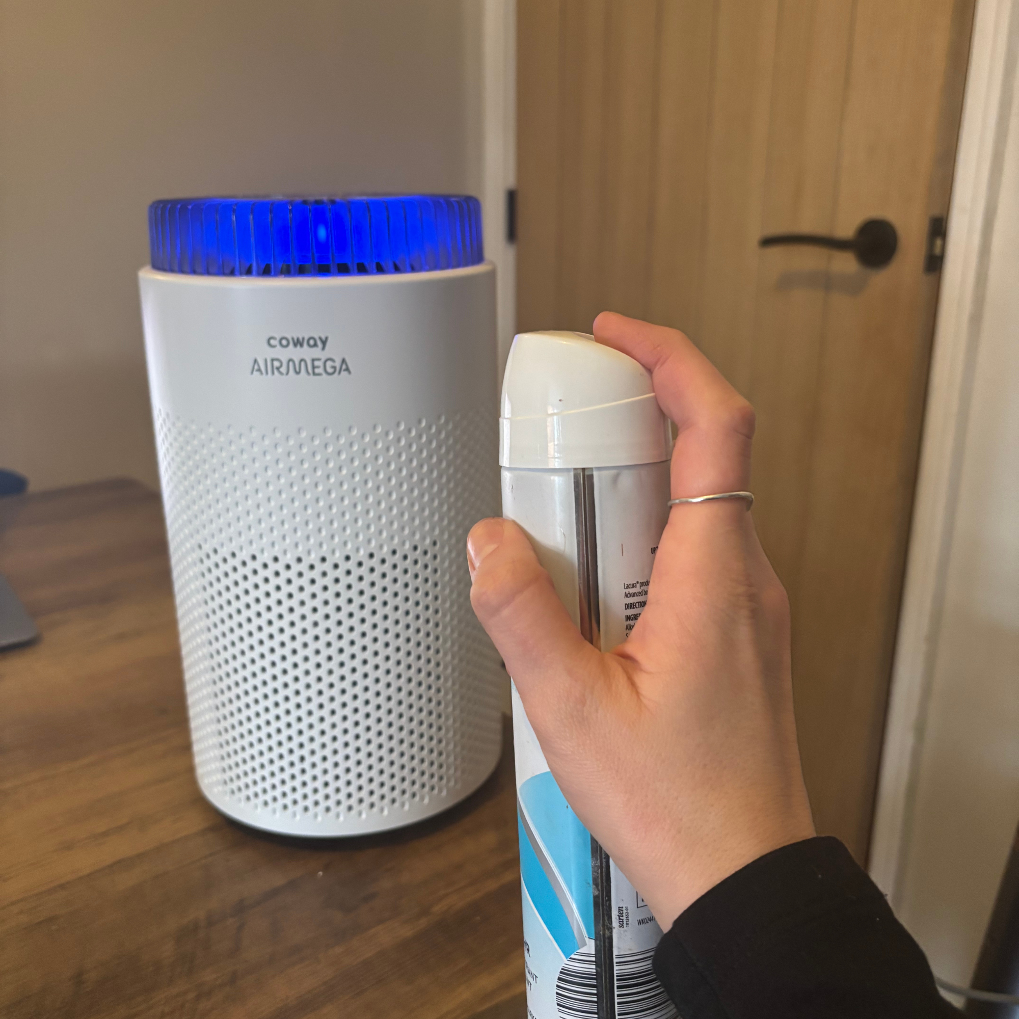 Coway Airmega 50 deodorant test