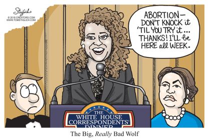 Political cartoon U.S. Michelle Wolf comedian White House Correspondents' dinner outrage