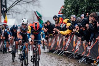 2024 Ronde Van Vlaanderen - Mads Pedersen, Lidl Trek.