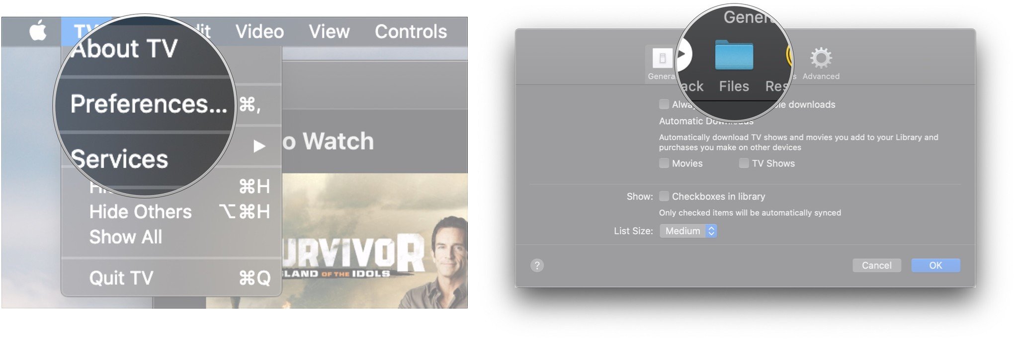 Click Preferences, click Files