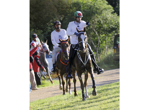 Fake-Marmoog-at-Euston-Park-August-2012.jpg