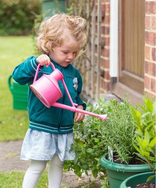 Child-friendly plants