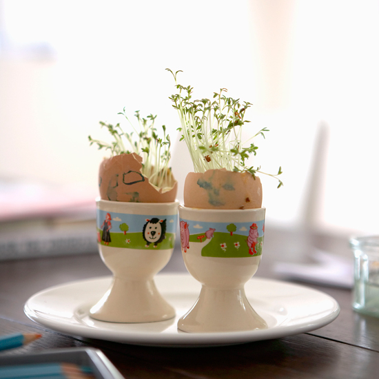 planting in egg shells