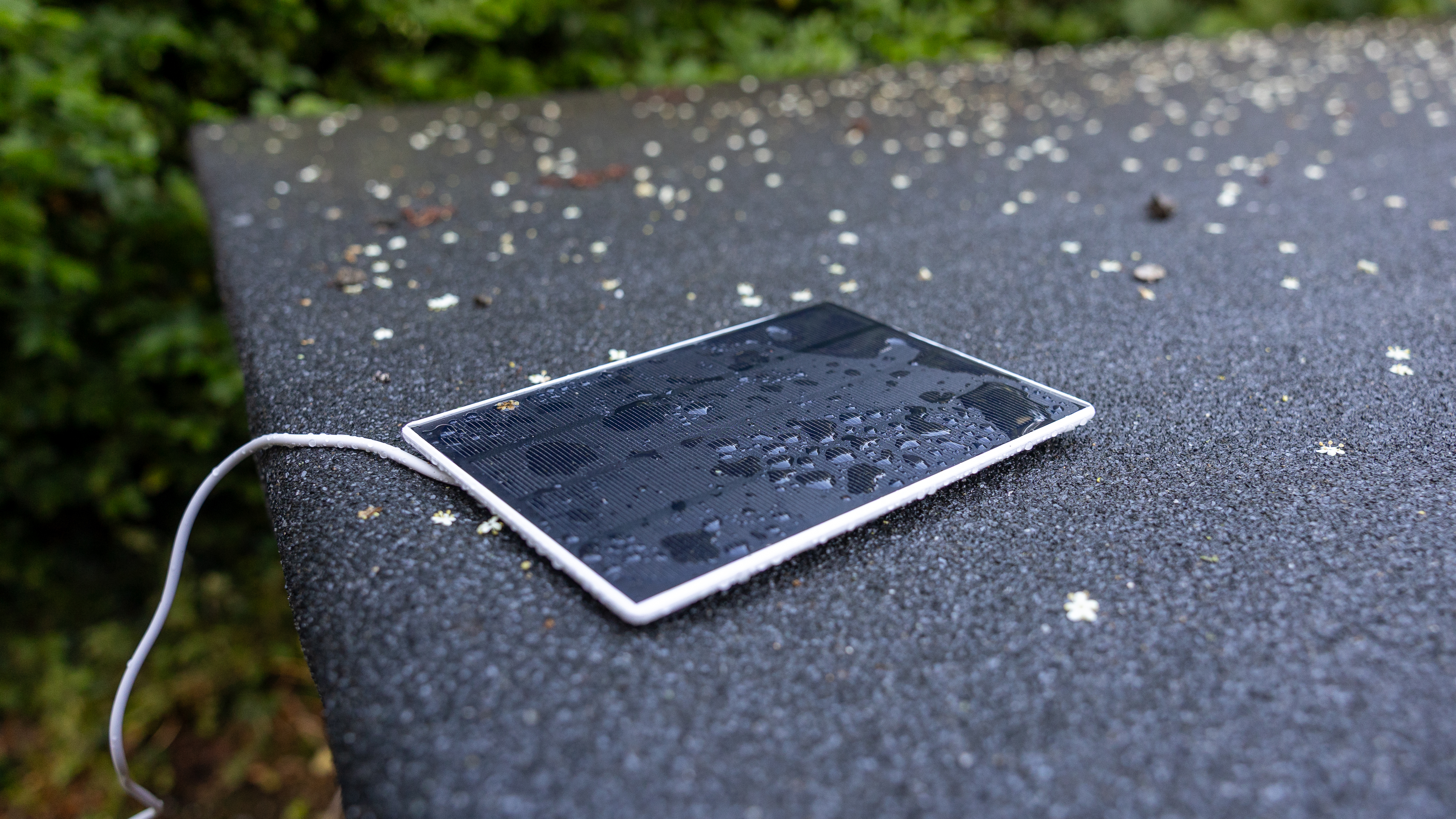 The PeckPerk solar panel in the rain
