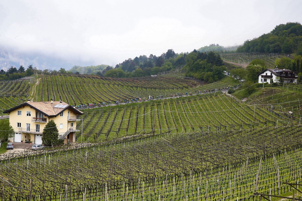 The countryside