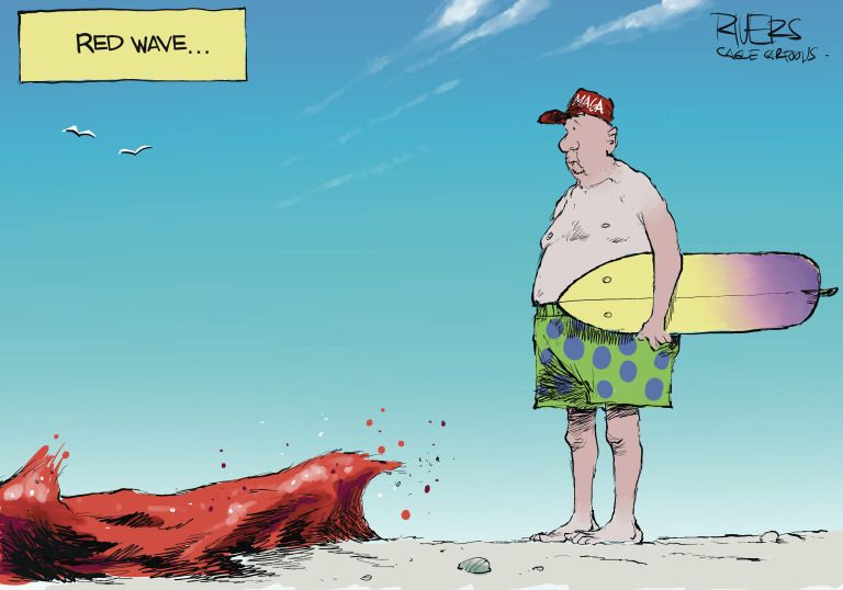 7 brutally funny cartoons about the 'red wave' that wasn't | The Week