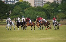 Polo-in-Richmond-Park-04.jpg