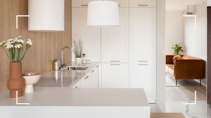 A small kitchen space with living room beyond showing the principles of how to organize a small space