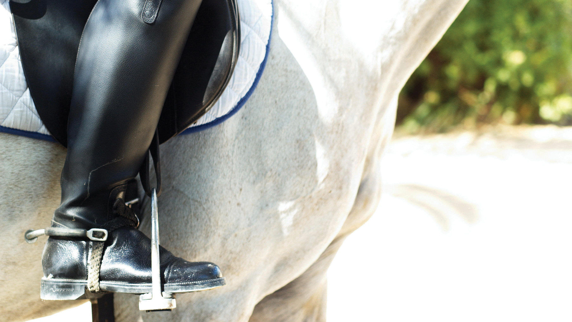 The FEI is reviewing a harmonised approach to horse sport blood rules. 