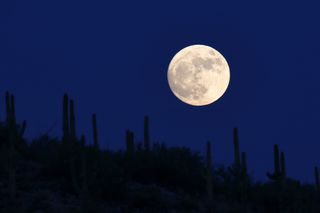 'Supermoon' Photos: The Closest Full Moon Until 2034 in Pictures | Space