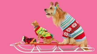 Petco holiday collection