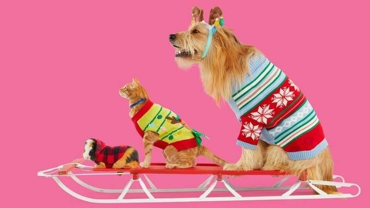 Petco holiday collection