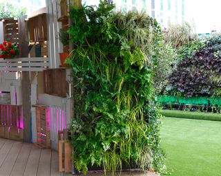 A green living wall next to colorful wooden crates
