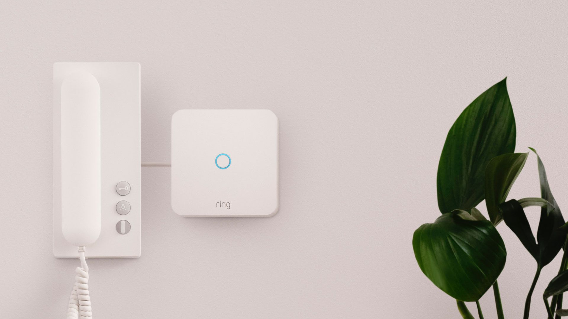 Wedding Intercom Ring Intercom review | TechRadar