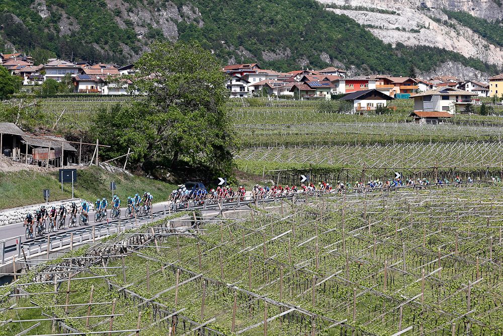 The peloton in action during stage 3.