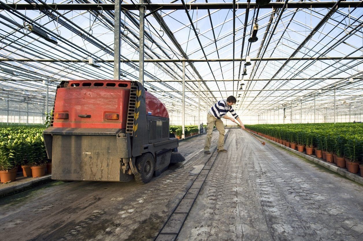 Man Sanitizing Greenhouse