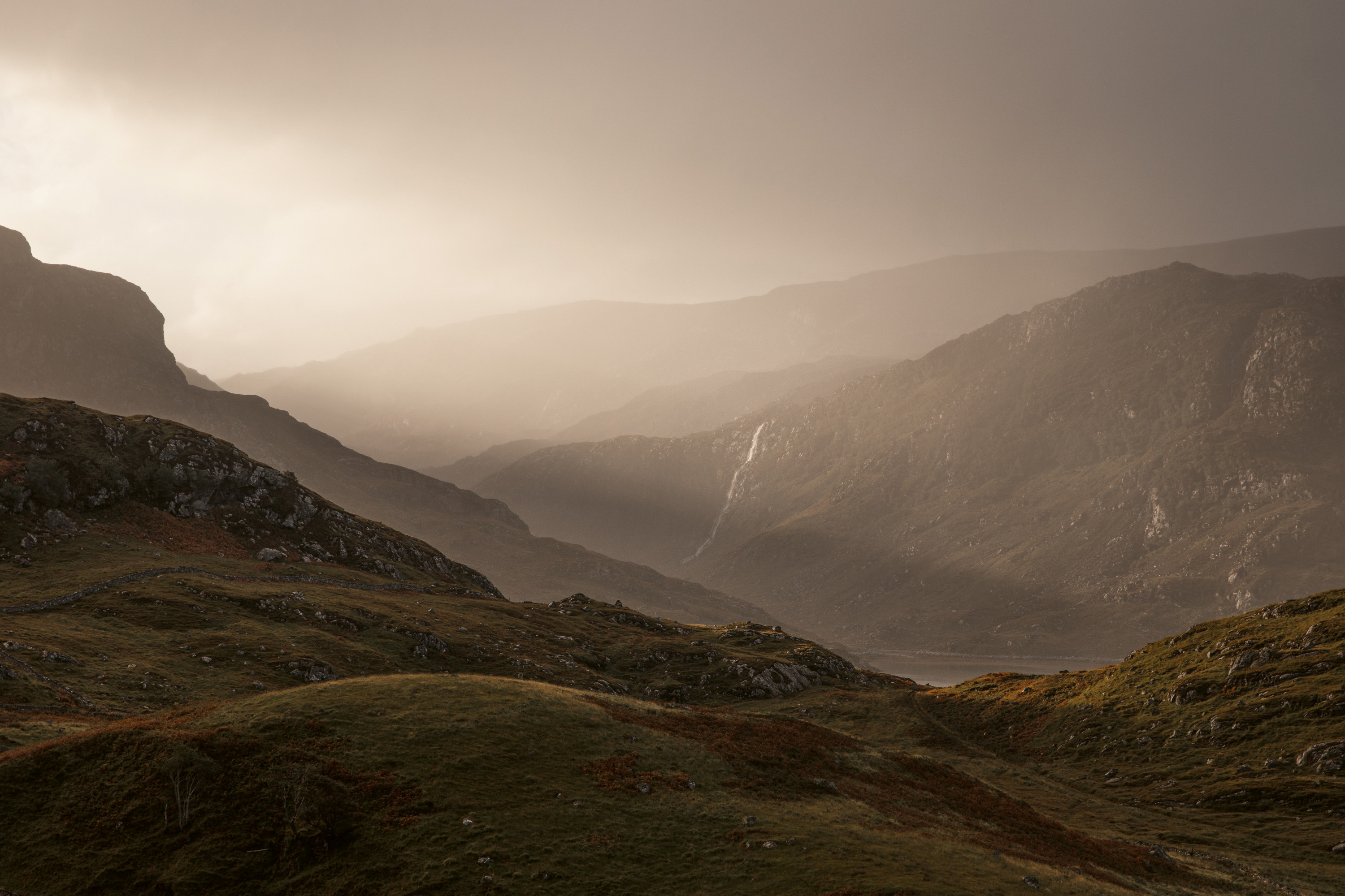 In their element. A landscape taken from Scottish Modern