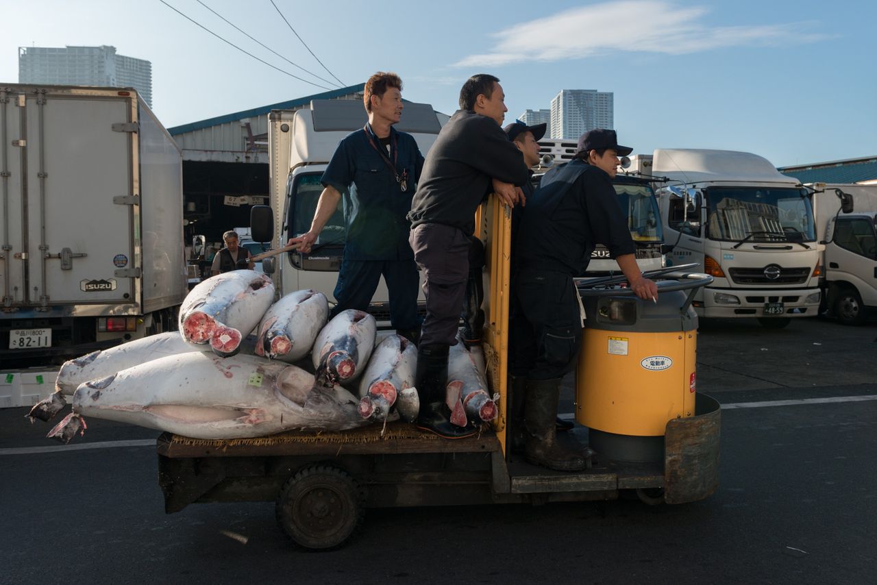 Men transport tuna. 