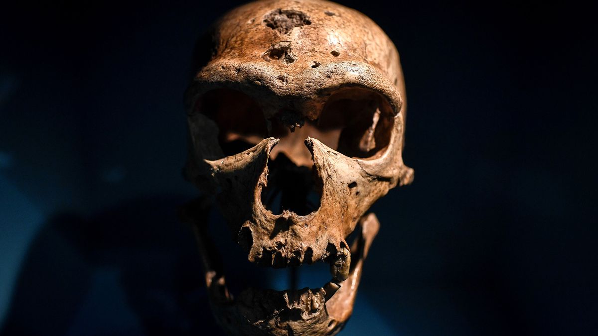 'News reports tweaked the science to speak to contemporary anxieties': How Neanderthal extinction is a projection of our own, modern fears