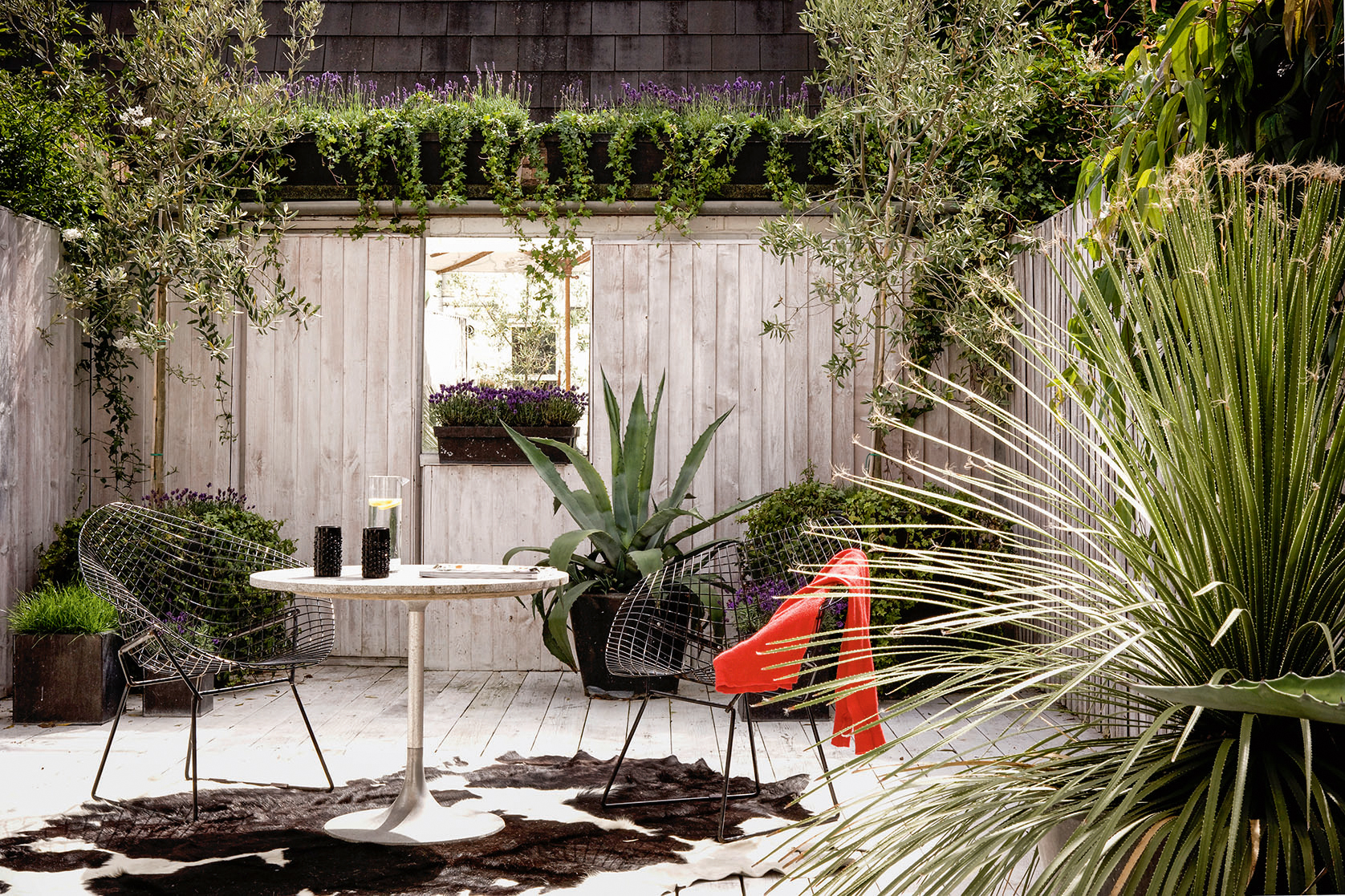 Small garden with grey fence for privacy