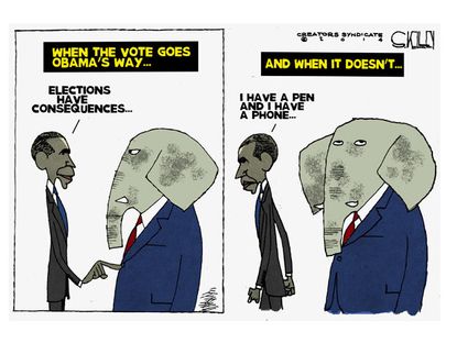 Obama cartoon election consequences veto