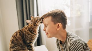 Cat licking a young boy's head