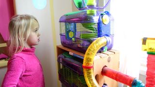 Girl watching hamster in its cage