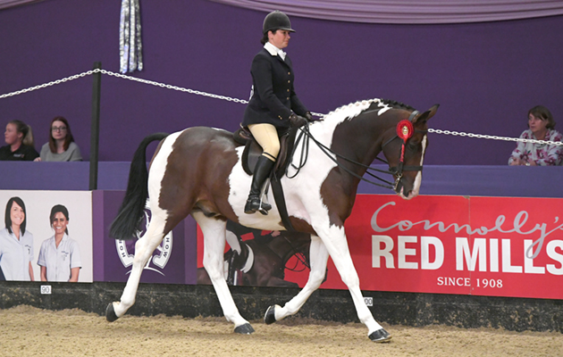 HOYS 07 10 2018