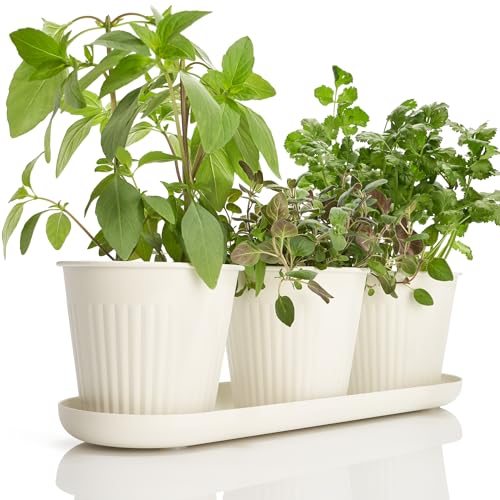Kibaga Beautiful Herb Garden Planter Indoor Set of 3 - Perfect for Any Kitchen Window Sill or Countertop - a Modern Decor Gardening Planter Kit Incl. Tray & Drainage Holes to Grow Fresh Herbs at Home