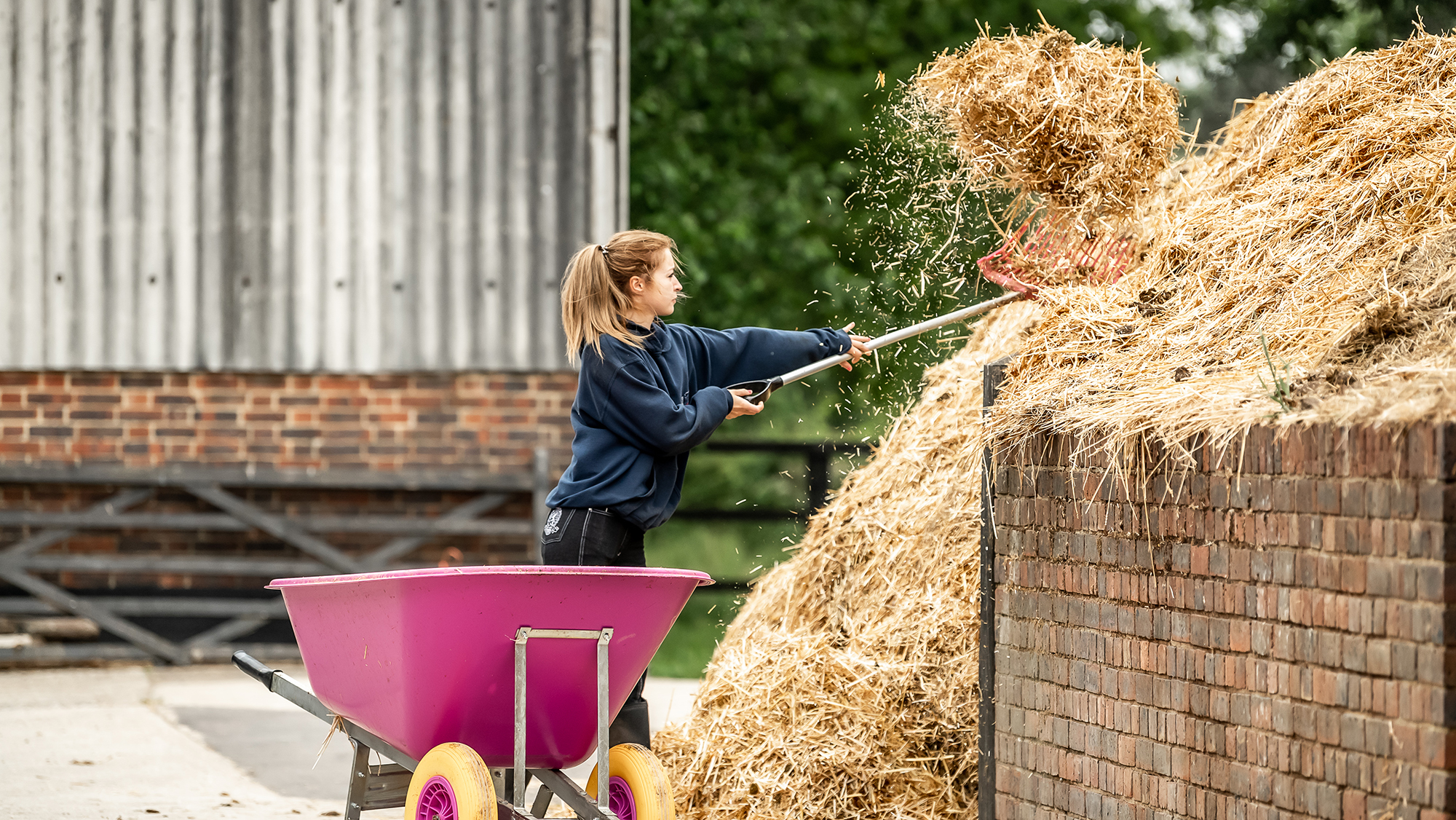Woman empties the contents of a pink wheelbarrow into a muckheap
