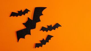 black felt bats on an orange background