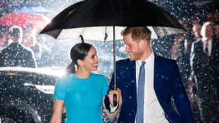 Prince Harry and Meghan Markle Oprah interview