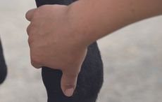 feelinglegs.jpg