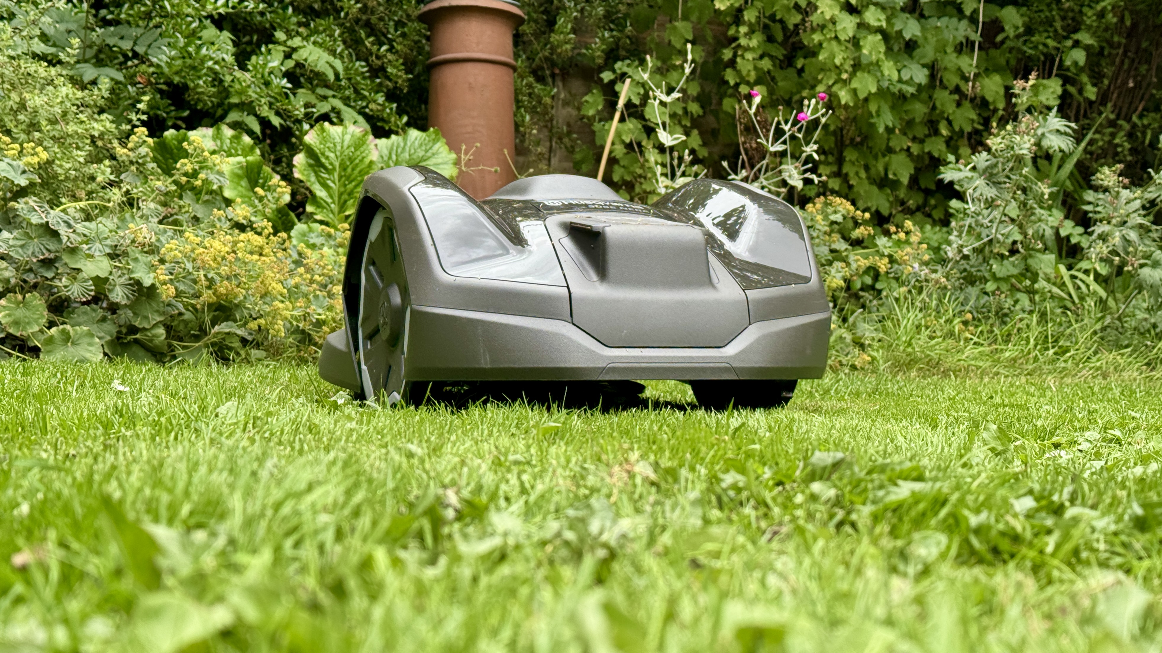 Husqvarna Automower 305E NERA on tester&#039;s lawn