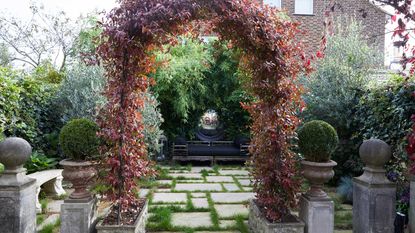 Garden Arch with Planters