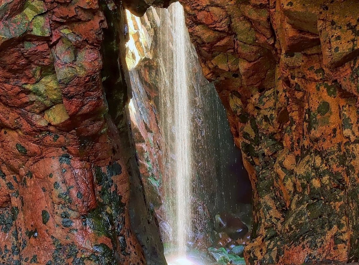 GuruShots - Nature March 2026