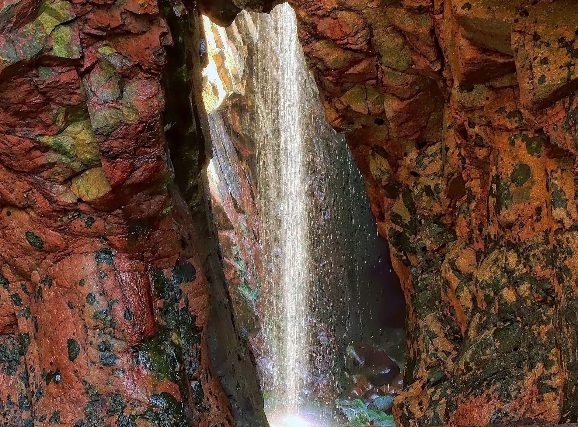 GuruShots - Nature March 2026