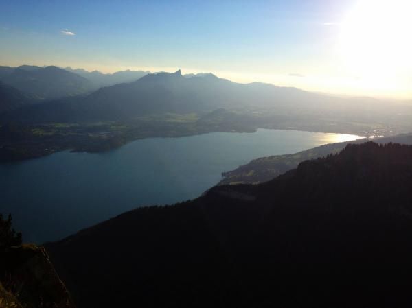 A view of the lake