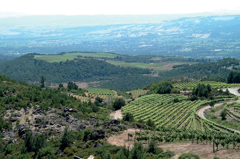 Hanna Winery&amp;rsquo;s vineyards at Bismark Mountain Ranch