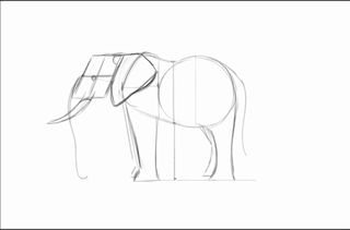 Rough sketch of an elephant