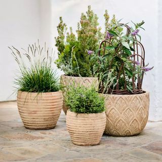 Four light terracotta planters 