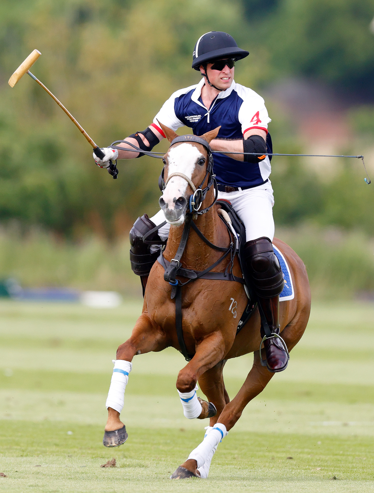 polo - william